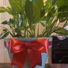 AMMA Gifts