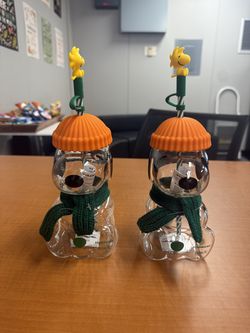 Starbucks x Peanuts cup