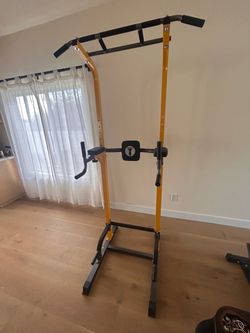 pull up , dip , power tower