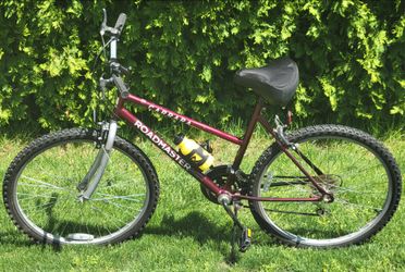 Full size adult bike