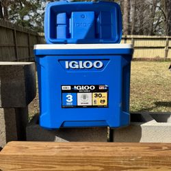 Igloo Cooler