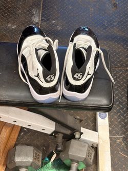 Air Jordan 11 Concord Sneakers