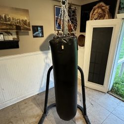 Punching Bag