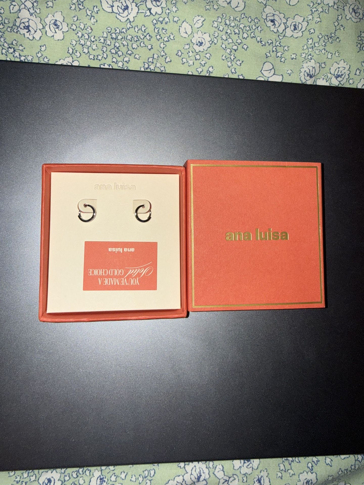 Ana Luisa Hoop Earrings 10K Solid White Gold