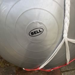 Lg Bell Exercise Ball + Net for Hanging