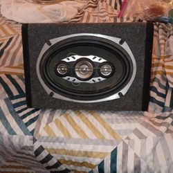 Pioneer Speaker Woofer 