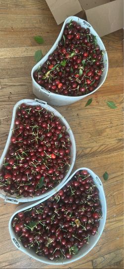 Cherry