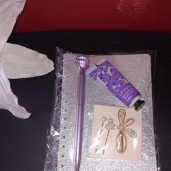Silver glitter notebook set