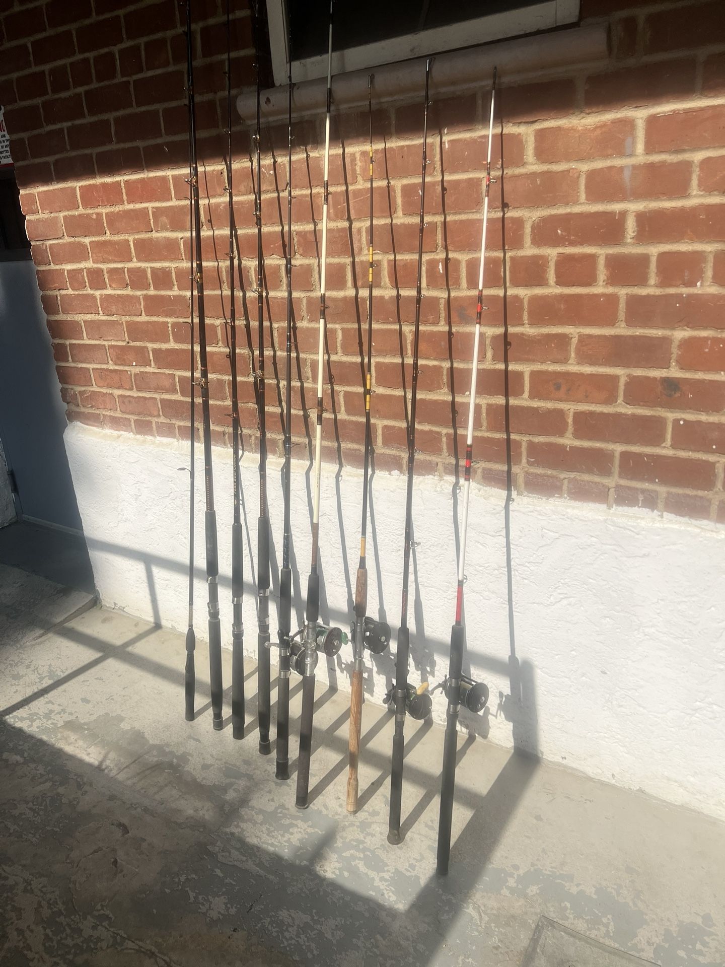 Fishing Rods & Reels