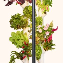 Gardyn Studio Hydroponic Garden