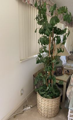 Home Decor-Artificial tree