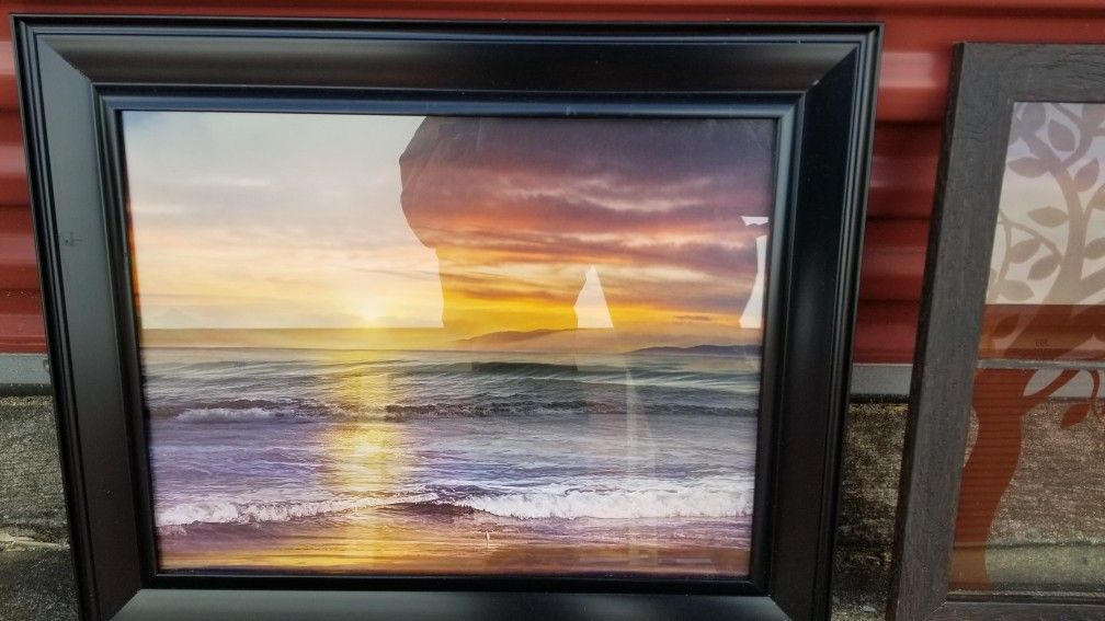 Sunset Pic