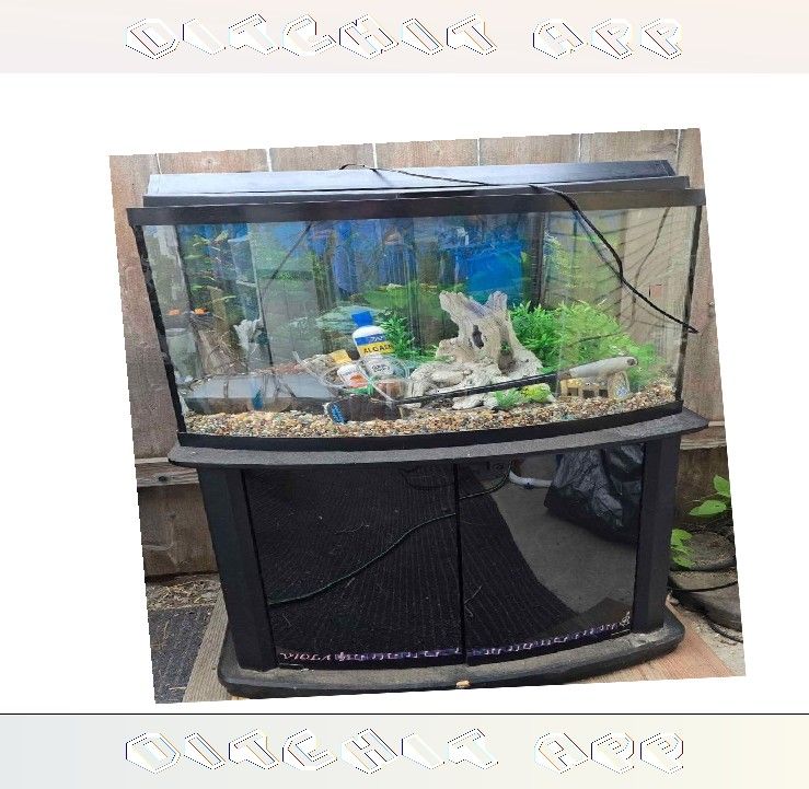 service people Fully-Loaded Aquarium Set - Dive into Underwater Beauty