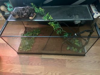 Reptile Cage