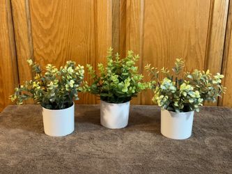 🌿 Set of 3 Artificial Eucalyptus Plants with White Pots