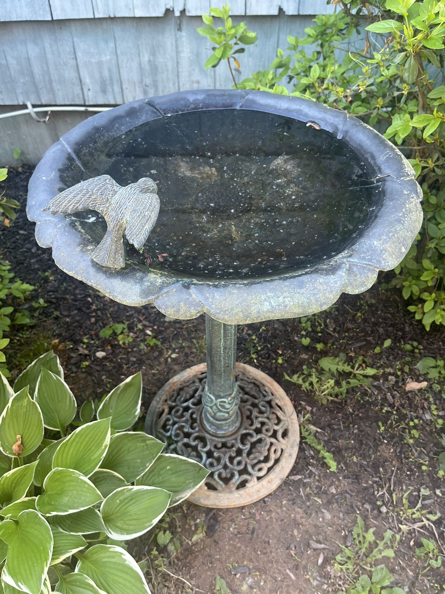 Bird Bath