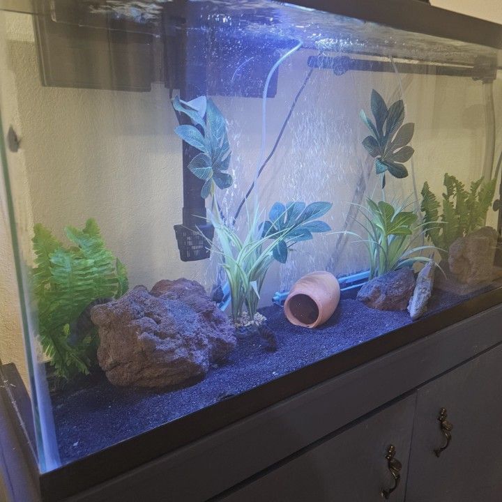 55 Fish Tank And Stand