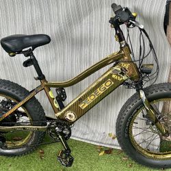 pedego fat tire electric bike. 