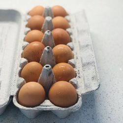 Eggs Dozen Free Range Chickens