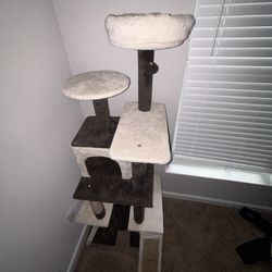 cat tree
