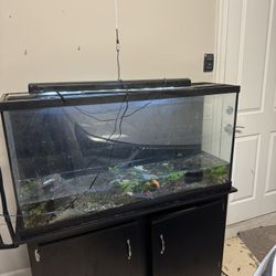 60 Gallons Fish Tank