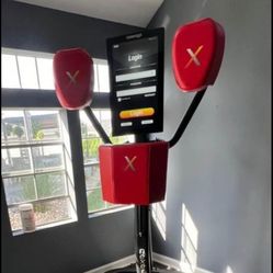 Nexersys N3 Boxing Trainer & Sparring Partner | Challenging & Fun Interactive Workouts.