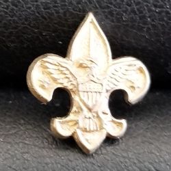 Lapel Pin 