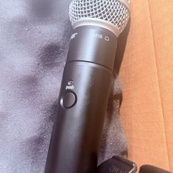 Micrófonos  100 los dos