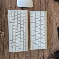 Apple Mouse & Two Keyboard 