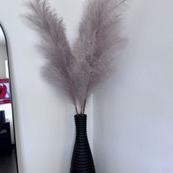 Crate barrel vase + Pompas 