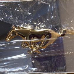 Mustang License Plate 