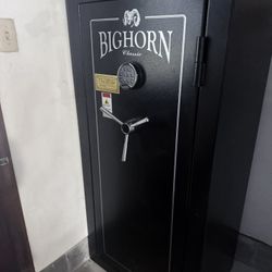 Bighorn Safe