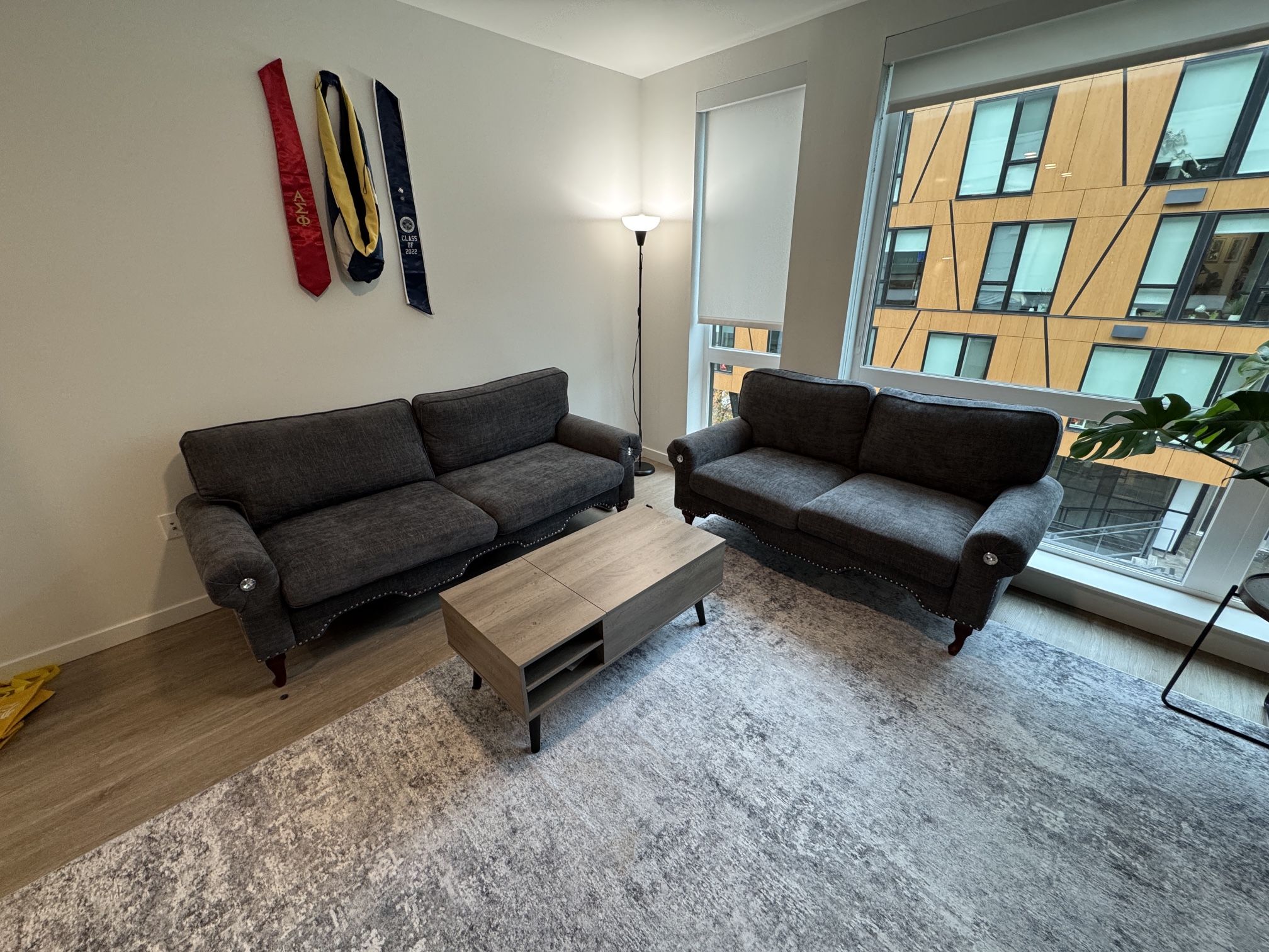 2 Gray Living Room Couches