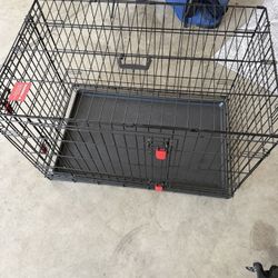 X-Large Kong Crate 