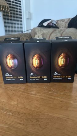 Beetle X31 SSD