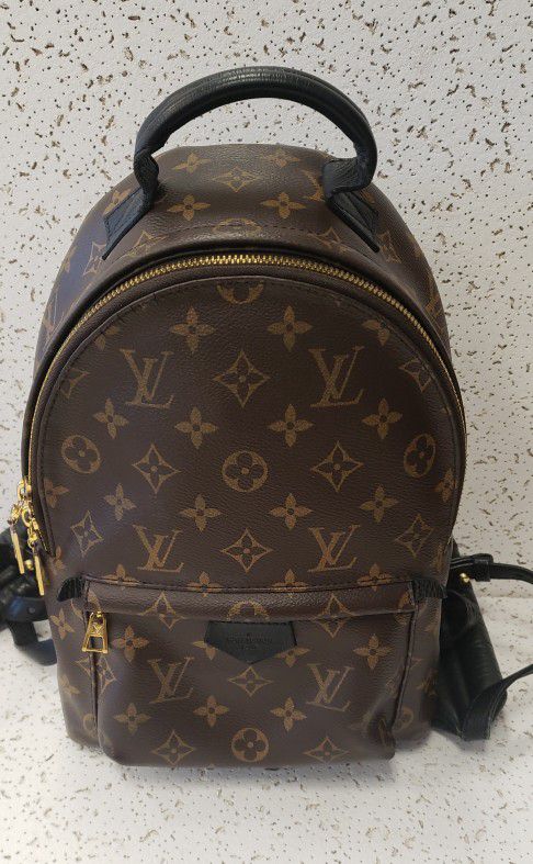 Louis Vuitton Backpack for Sale in Fort Worth, TX - OfferUp