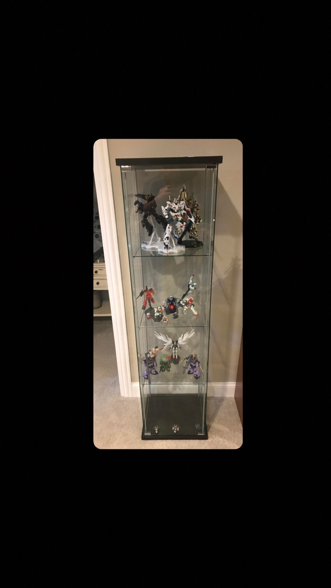IKEA Detolf Display Case with Adjustable Shelves and Dust-Proofing