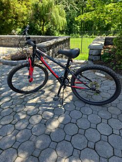 Nishiki Pueblo 24 boys mountain bike