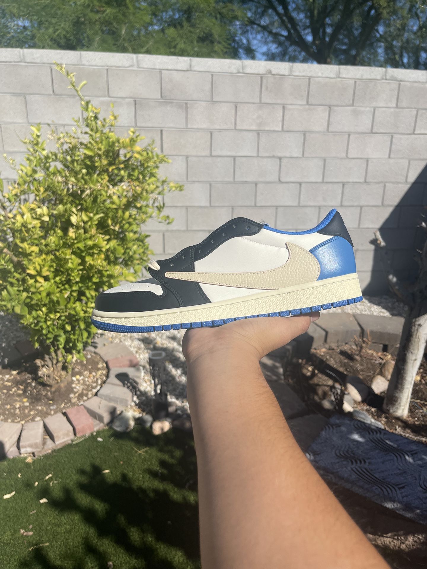 Jordan 1 Travis Scott Low Fragment (Read Description)