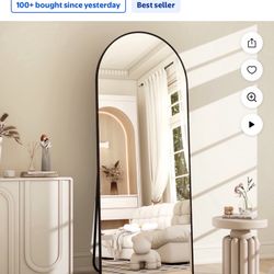 Full Length Mirror- Moving sale!