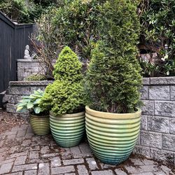 3 Ceramic Planter Pots And Planta