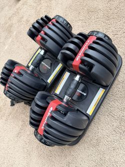 BowFlex Dumbbells 552 (2x)