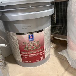 Extra white gloss paint