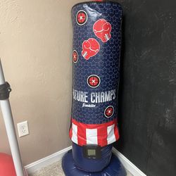 Franklin Electronic Punching Bag