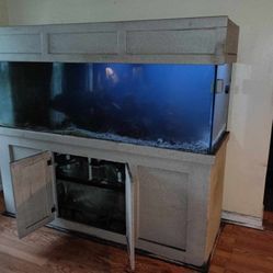 180 Gallon Saltwater fishtank