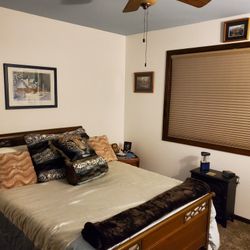 Ceiling Fan with Light