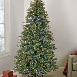Home Accents Holiday 7.5 Ft Jackson Noble Led Tree