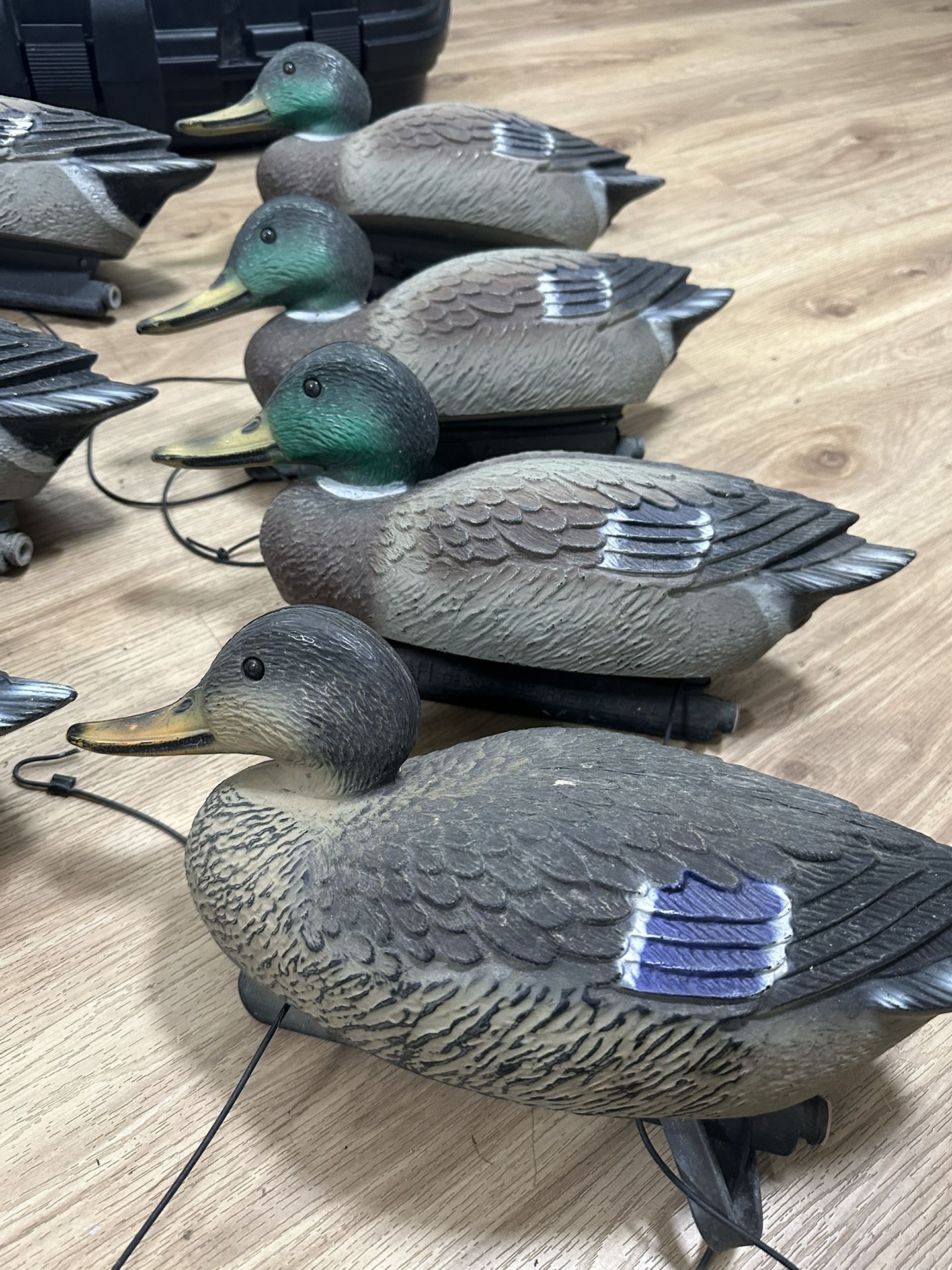 7 Mallard Decoys, 5 Drakes And 2 Hens 