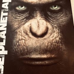The Rise Of The Planet Of The Apes 
