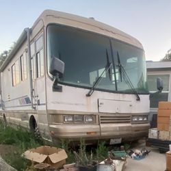 1993 Holiday Rambler Rose Disel